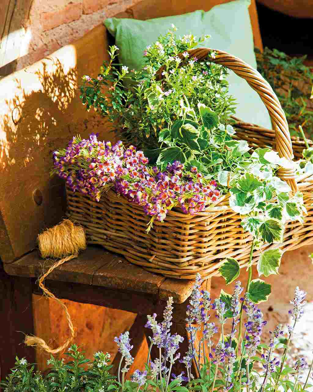 Plantera korgkorgen instruktioner trädgård dekoration idéer träbänk rustik
