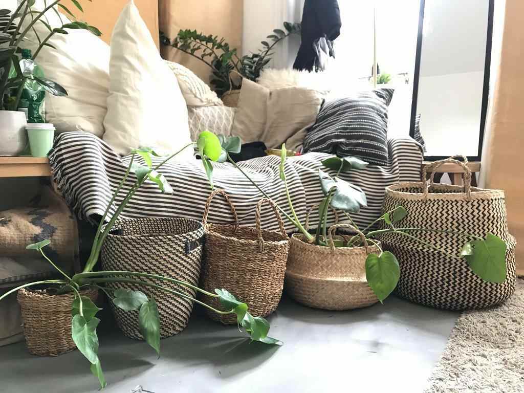 Plantera en korgkorg enkla instruktioner hemtillbehör levande trender 2019