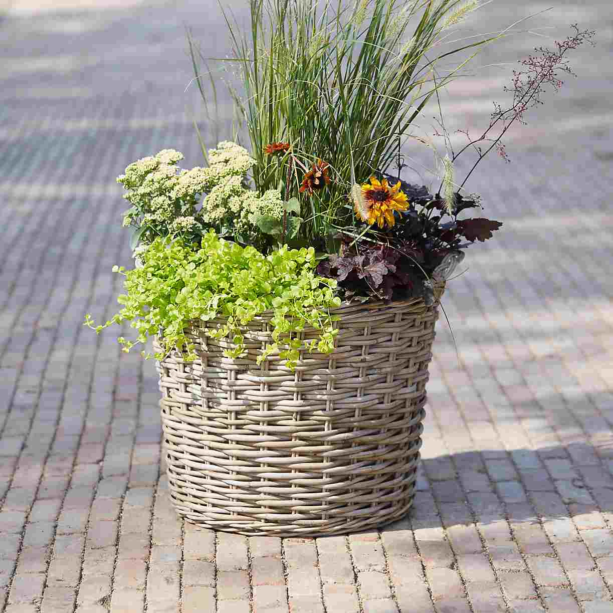Wicker korg plantering blommor enkla instruktioner trädgård terrass design trädgård dekoration