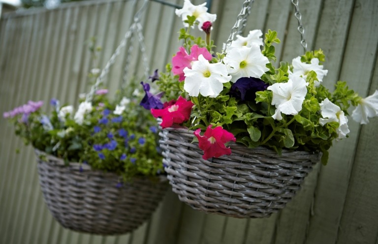 Plantera korgkorg trädgård hängande korg trädgård dekoration idéer helt enkelt trädgårdstrender terrass