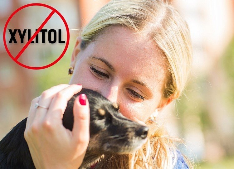 Xylitol är livshotande för hundar