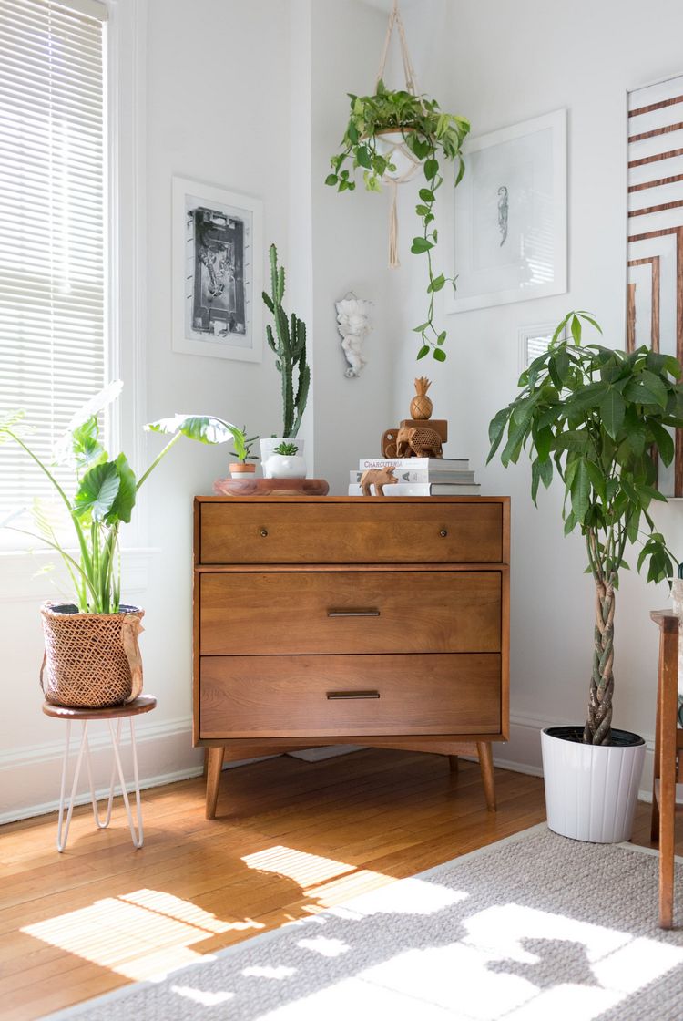 Hur man förskönar sovrummet billigt med växter