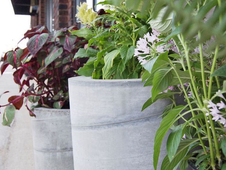 DIY runda betongplanter för utomhus