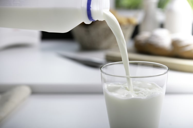 Bekämpa bladlöss med en lösning av mjölk och vatten tack vare mjölksyra