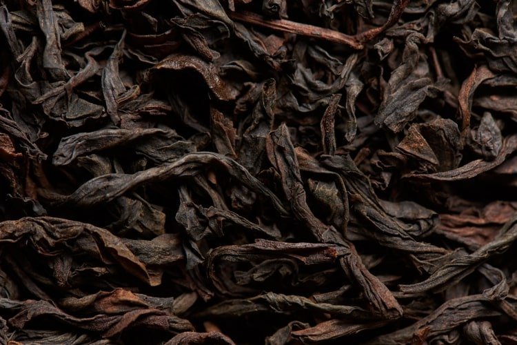 Svart te innehåller tanniner som bladlöss inte gillar
