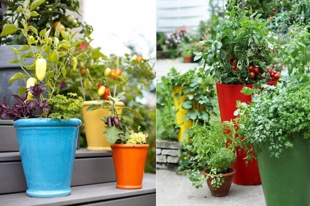 färgglada krukor av växter grönsaker körsbärstomater balkong trädgårdstips