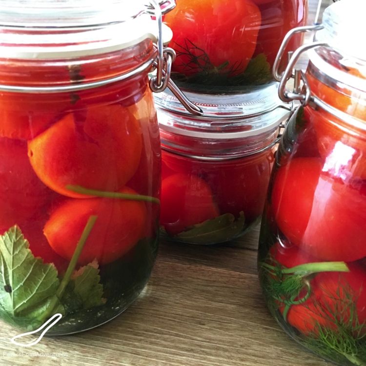 Tomater jäser i glaset - en frisk smak när som helst på året