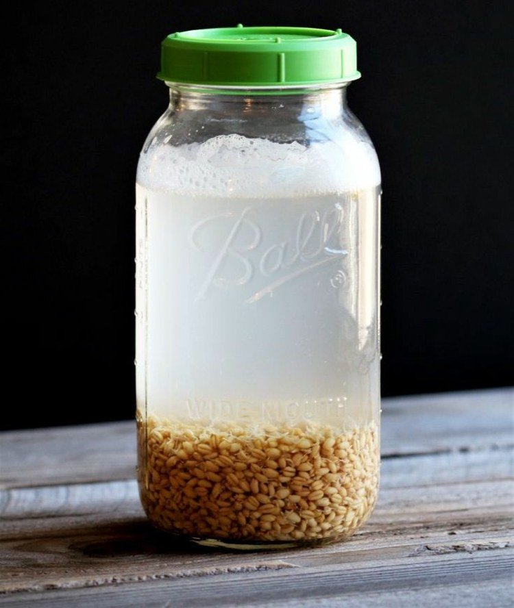 Rejuvelac är en probiotisk dryck gjord på spannmål