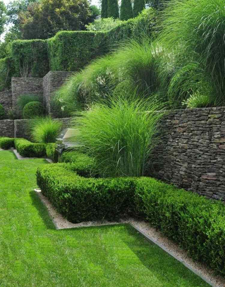 Boxwood kombineras med känsliga prydnadsgräs framför en vägg i trädgården på en sluttning
