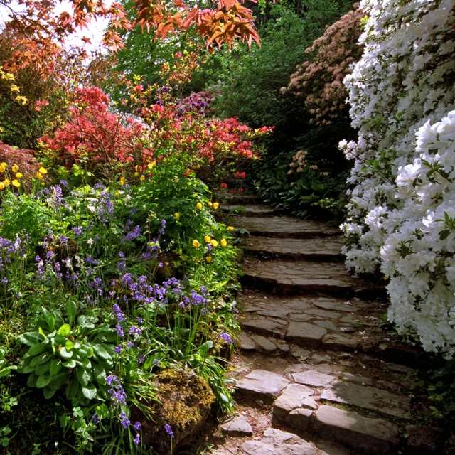 skapa stenplattor trappa blommande buskar färgglatt original