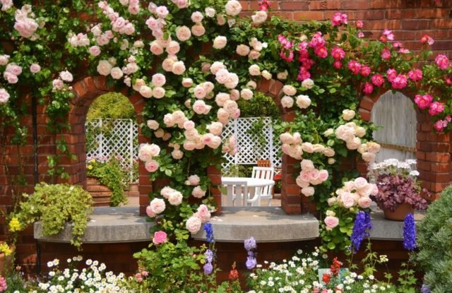 underbar idé trädgård design romantiska rosor