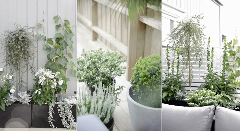 Designa din terrass på ett skandinaviskt sätt med örter och blommor i naturliga färger