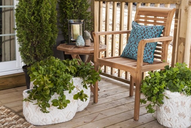 teak möbler underhåll trädgård terrass tips stol