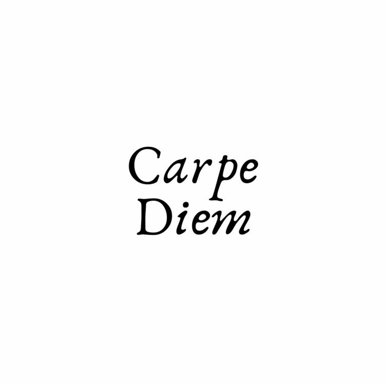 Kort slagord för att måla stenar - Carpe Diem