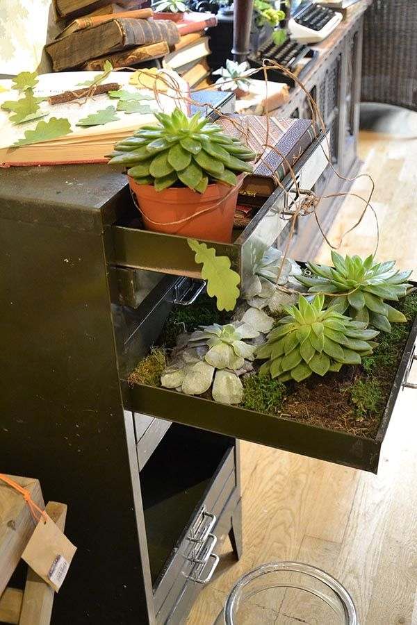 Succulenter-galna idéer-hus-dekoration-special