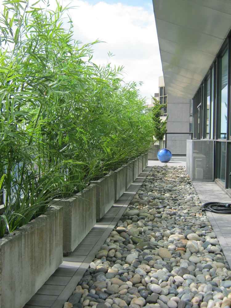 Sekretessskärm-balkong-växter-betong-växt-krukor-grus