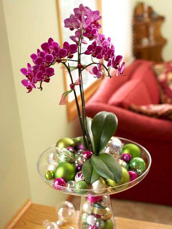 Vinterblommande växter lila orkidéer kulor jul