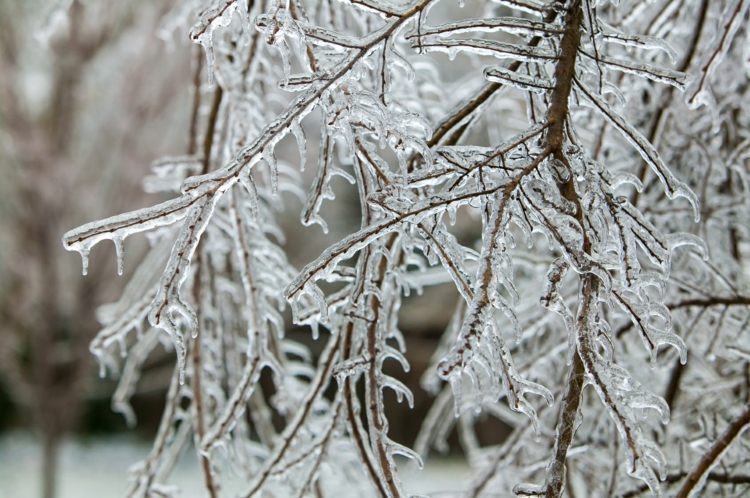 vinter-service-snöröjning-natur-stad-park-byggnad-träd-grenar-is-frost-kall-hala.jpg