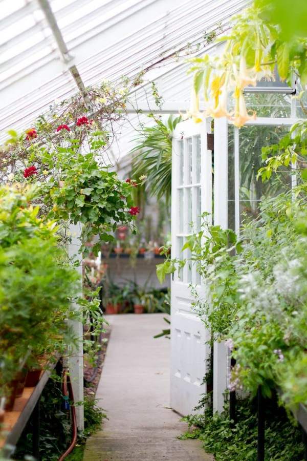 trädgård trä-glas konstruktion-isolerade övervintrings-växter vård tips vinter