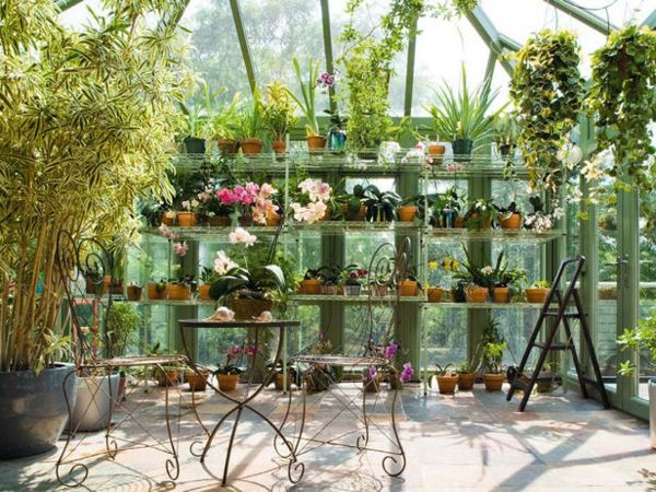 Vinterträdgård inrättade cool idé veranda hus