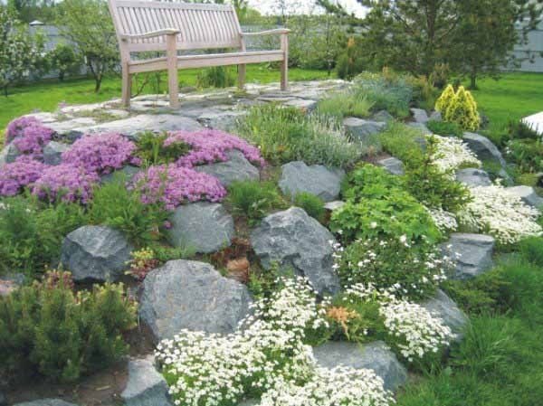 växter för delvis skuggad klippträdgård kombinerar mossblommor