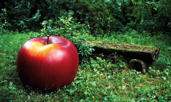 Gör trädgårdsdekorera trädgårdsfigurer äpple stora