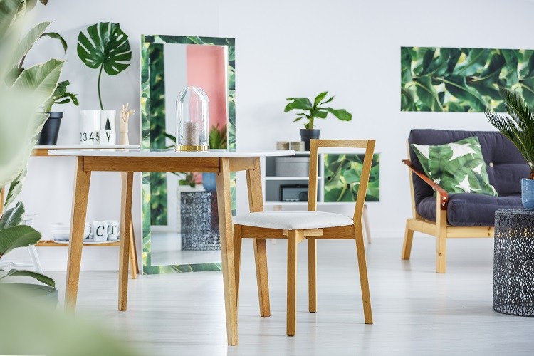 Tropiska levnadsstil växter i lägenheten dekoration idéer levande trender 2020
