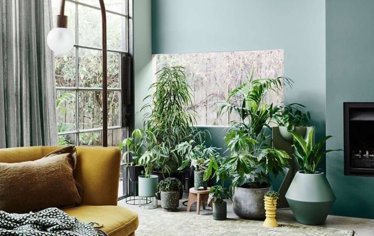 Levande trend natur 2021 salvia grön vägg och gul soffa