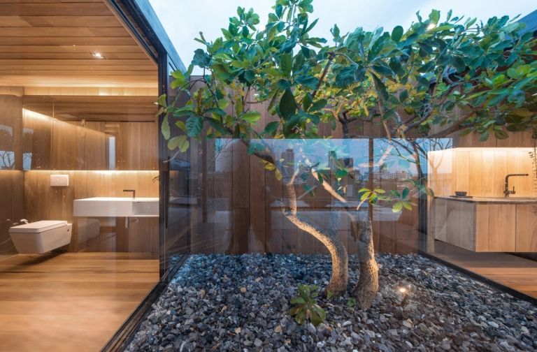 Utsikt över trädet mellan badrum och kök bakom fönstret