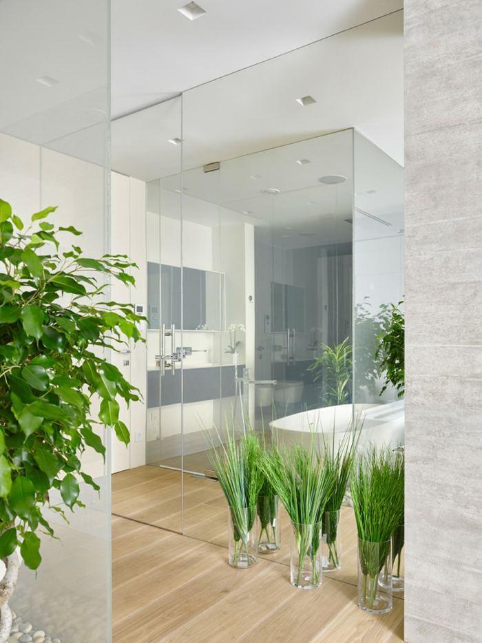 modern lägenhet design badrum idé växter vaser glaspaneler parkett
