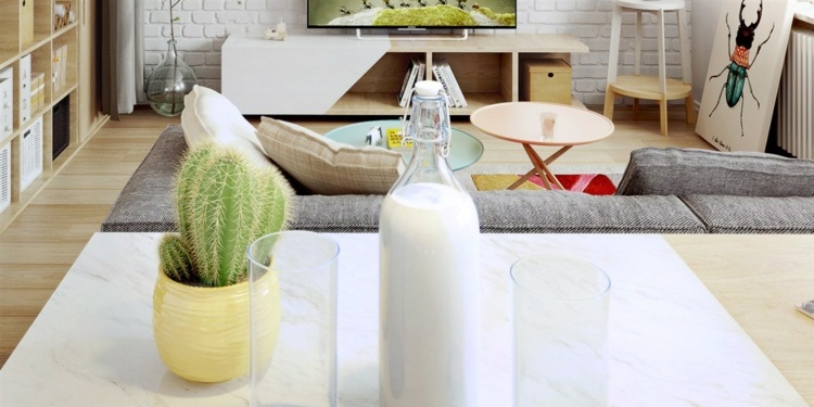 design-lägenhet-accenter-kaktus-gul-blomkruka-vardagsrum-design