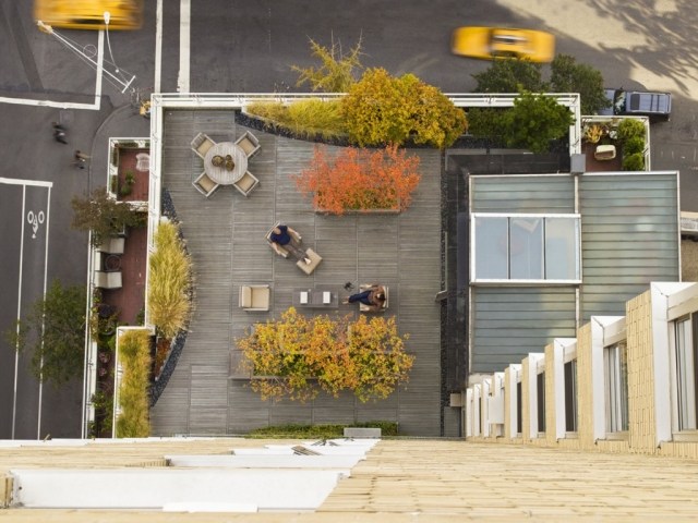 Att sätta upp tak-takvåning lägenhet tak-trädgård-nyc greenwich