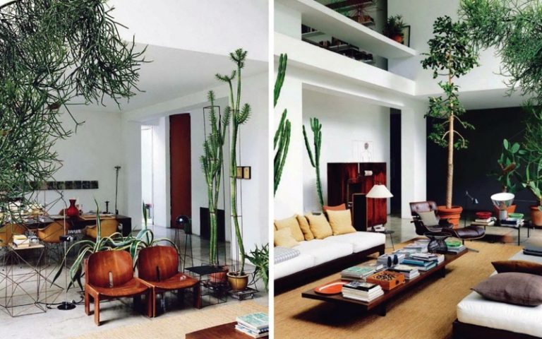 dekorera vardagsrum exotiska idéer växter frodiga möbler moderna