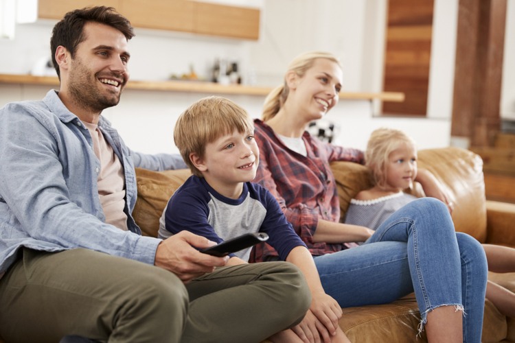Vardagsrumsmöbler TV -njutning familjetelevision