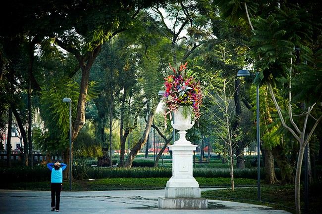 Blomsterarrangemang enorm parkentré Mexiko