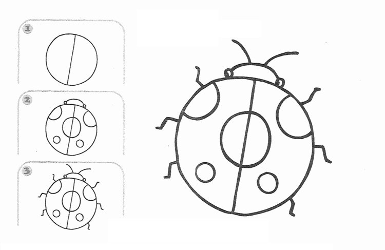 lär dig att rita nyckelpiga-insekt-nybörjare-cirkel-punkter