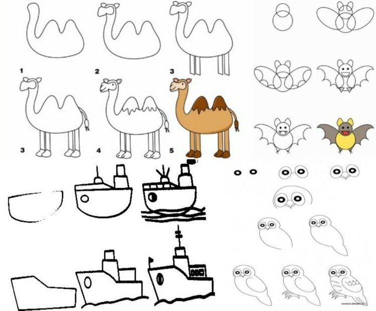 lära-att-rita-kamel-skepp-uhu-uggla-fladdermus-djur