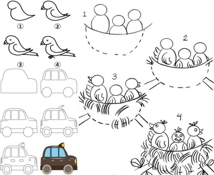 lära sig att rita-idéer-bil-papegoja-fågel-bo-kycklingar