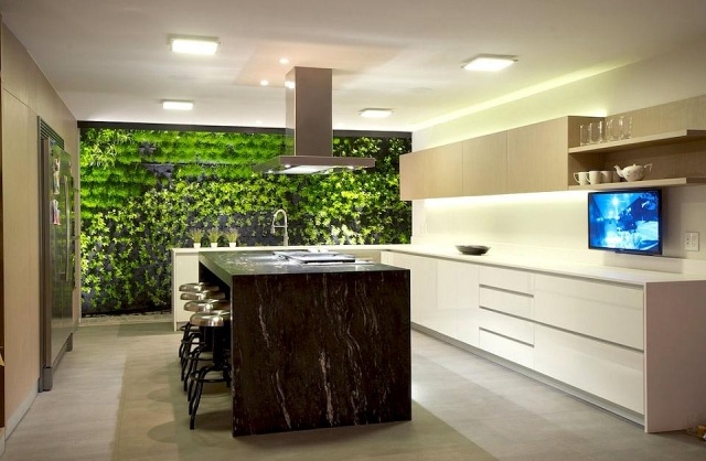 Utrustat-kök-med-ö-hållbart-grönt-vägg-Hernandez-Silva-Arquitectos