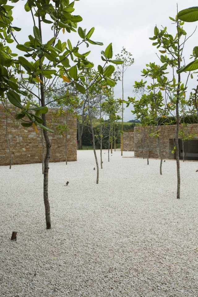 Lyx-Villa-Itatiba-trädgård-minimalistiska-nyplanterade träd