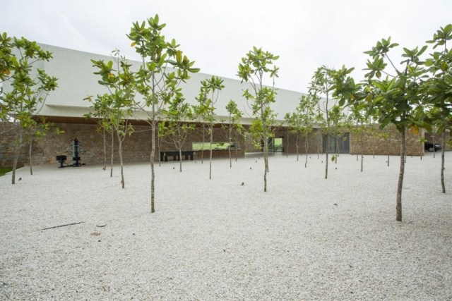 minimalistisk-modern-bostad-platt-tak-konstruktion-trädgård-utanför