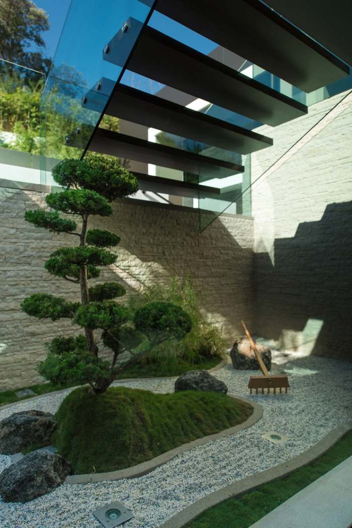 Zen trädgård-växt-bonsai-tall-träd-mossa