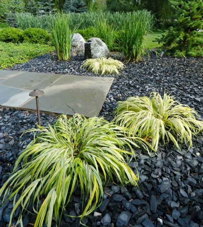 zen-trädgård-växter-skiffer-grus-klorofytum-sorter