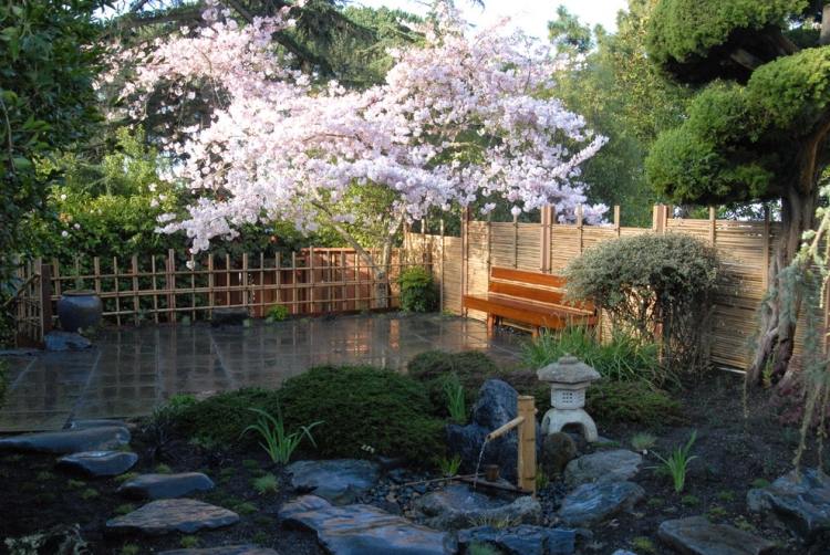Skapa zen trädgårdsväxter-träd-rosa-körsbärsblommor