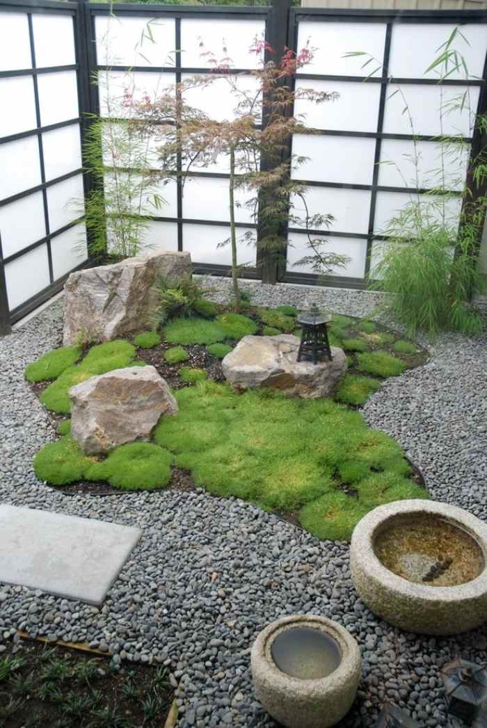 zen-trädgård-växter-mossa-japansk-lönn-bambu