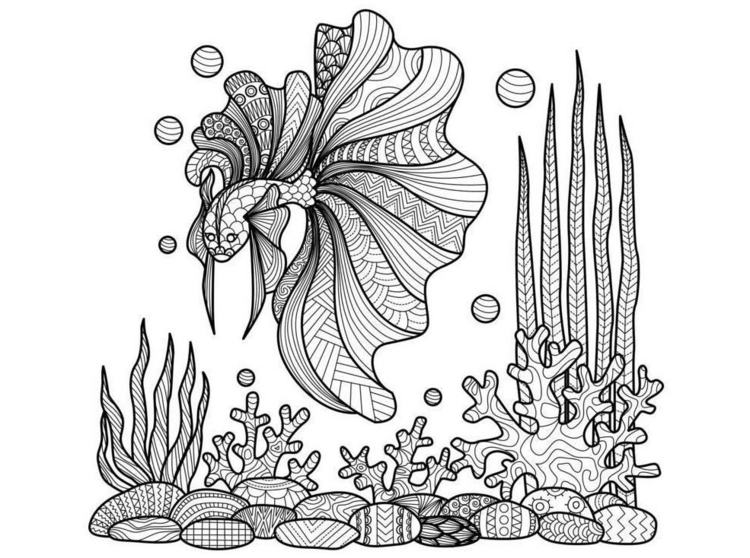 zentangle-mallar undervattensvärld-fisk-beta-akvarium-korall-tång