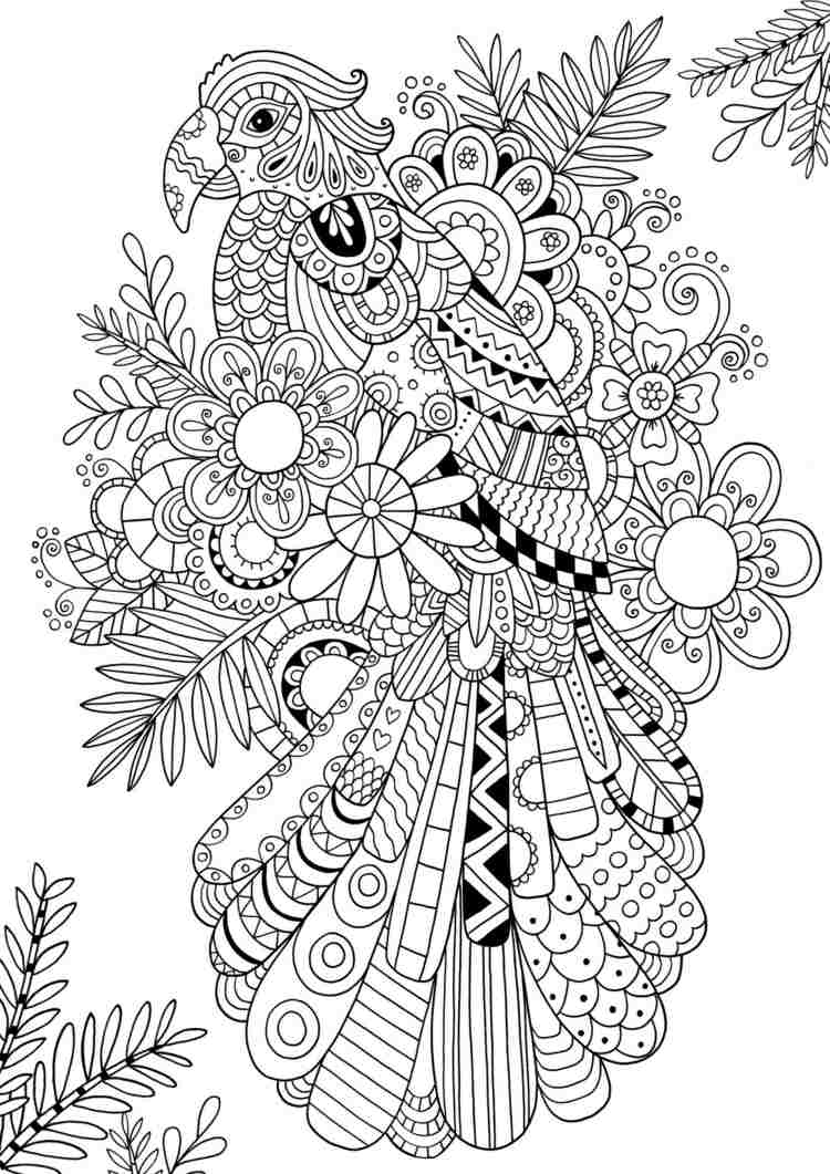 zentangle-mallar papegoja-färgglada-målar-fågel-blommar-grenar