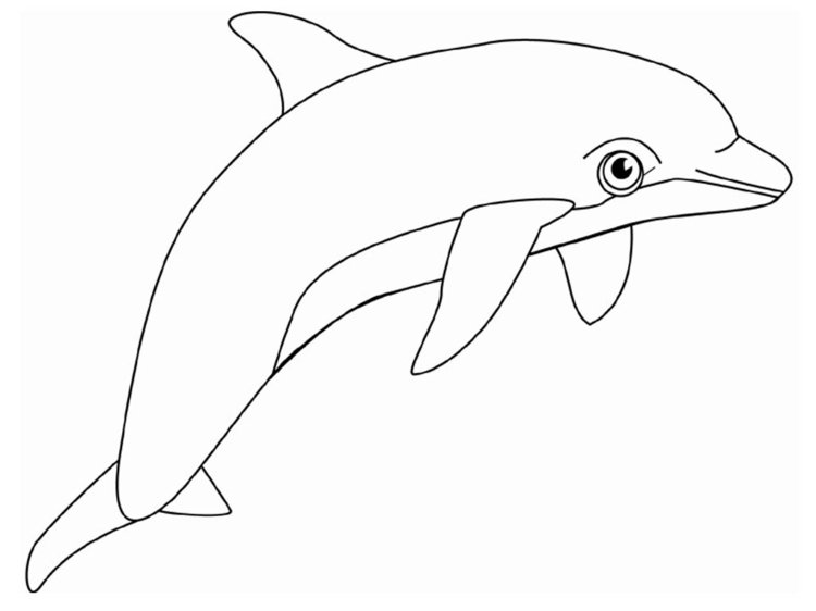 zentangle-mallar-delfin-djur-däggdjur-vatten-instruktioner
