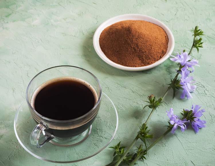 Gör cikoria -kaffe själv tips friska kaffealternativ