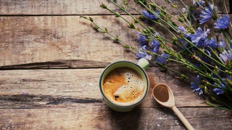 Cikoria -kaffe Hälsofördelar koffeinfria kaffealternativ